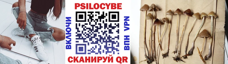 Купить закладки  Ермолино  Галлюциногенные грибы Cubensis 